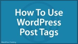 How To Use WordPress Post Tags